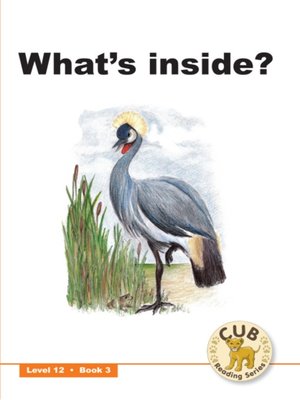cover image of Cub Reading Scheme Level 12, Book 3: What's Inside